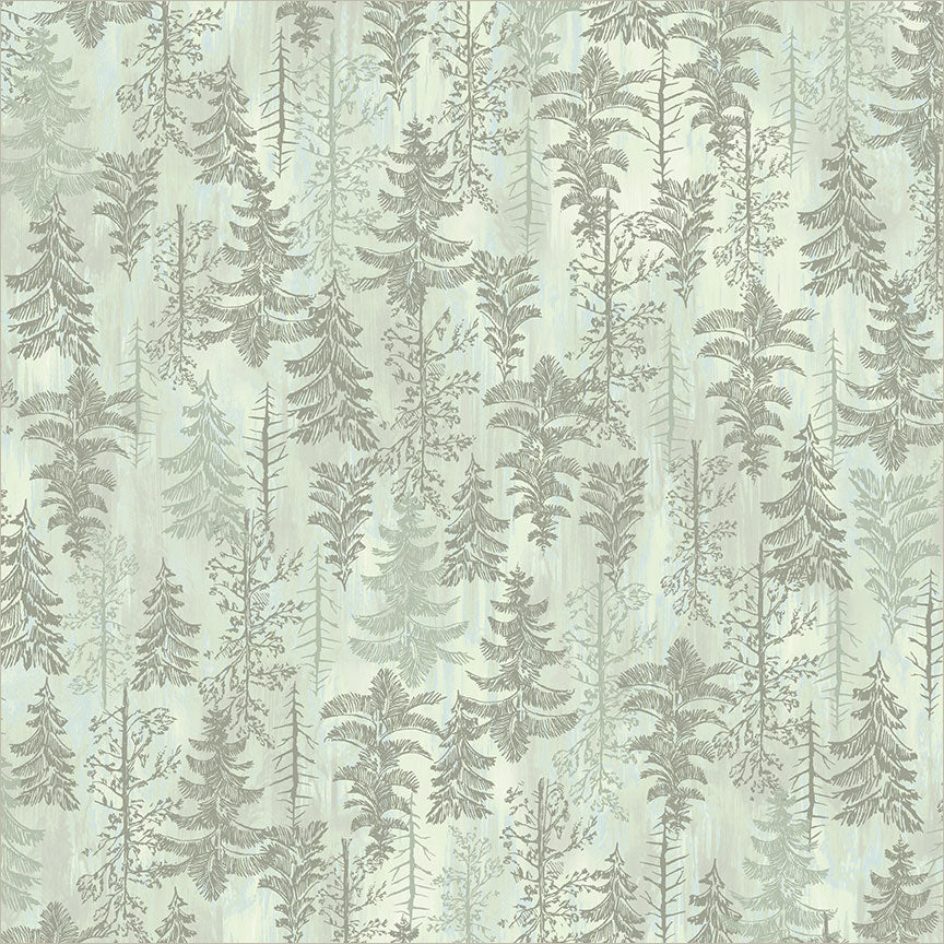 Tranquil Forest