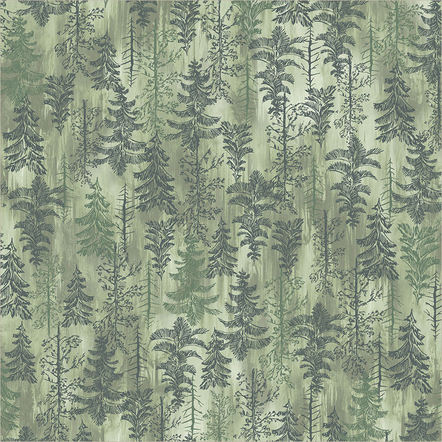 Tranquil Forest