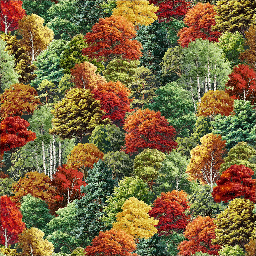 Changing Foliage