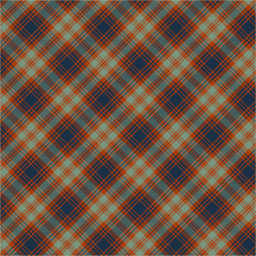Bias Plaid