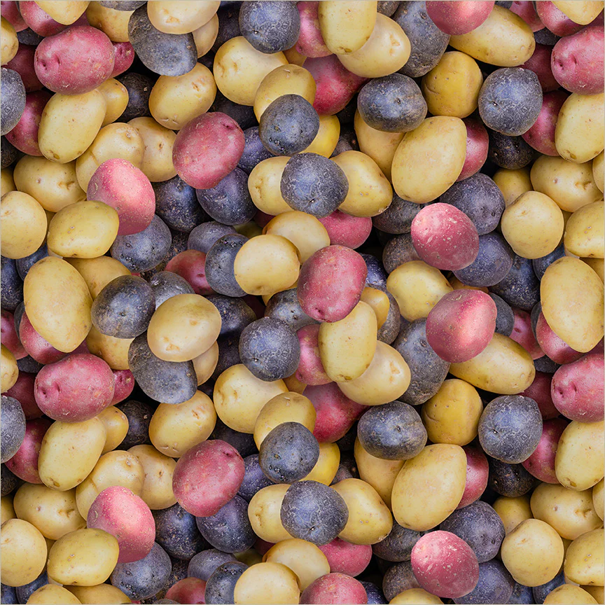 Spud Party