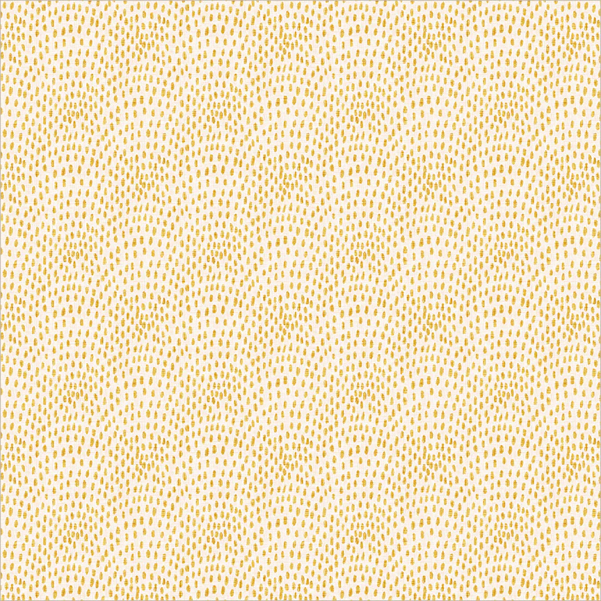 Speckled Scallop