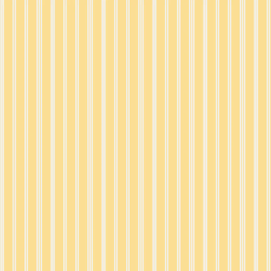 Stripe