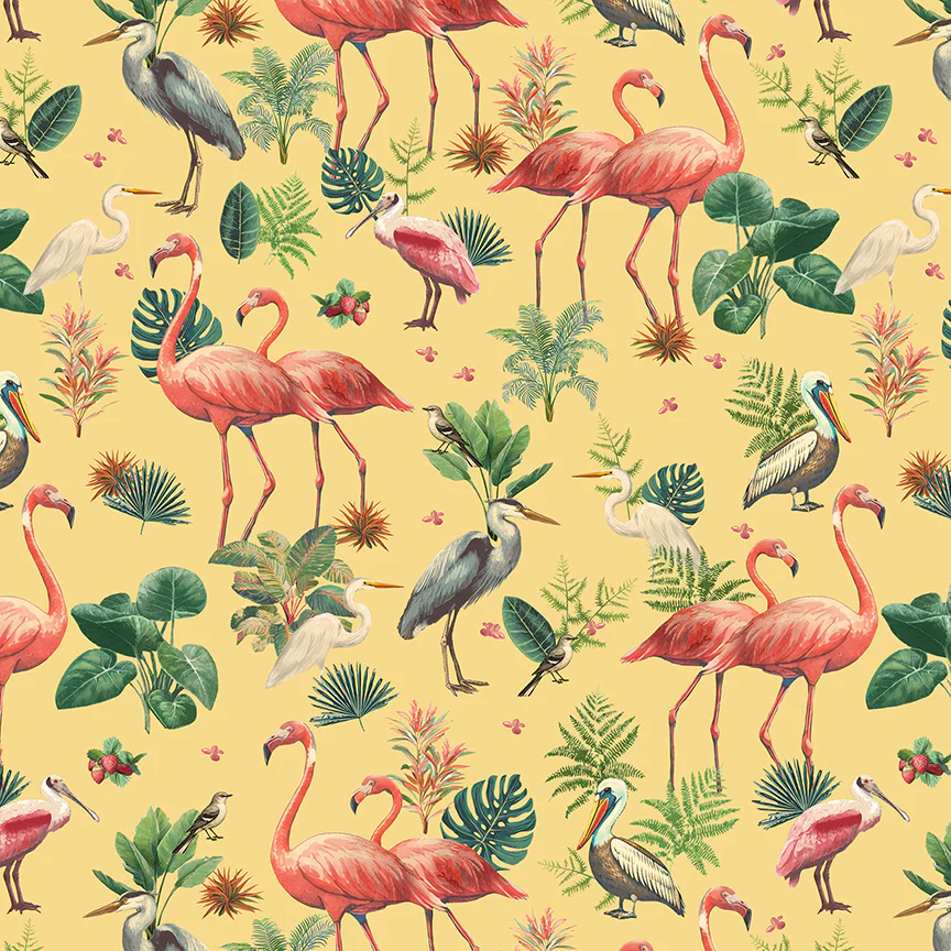 Birds