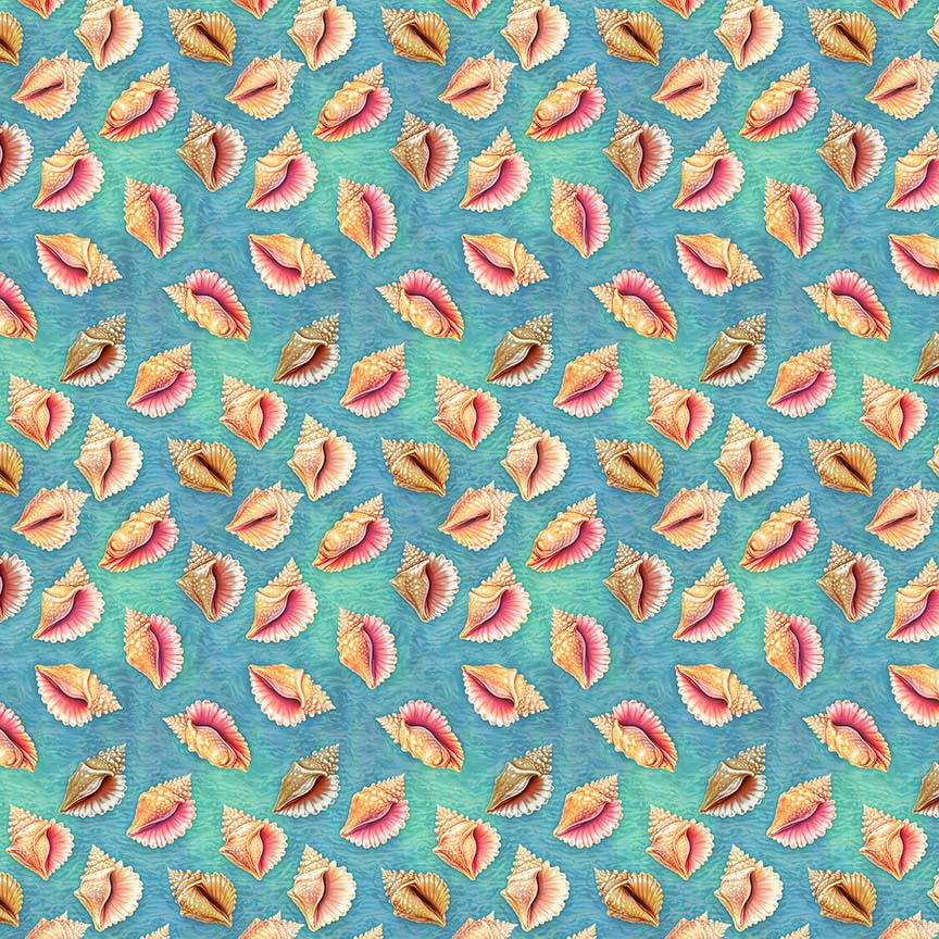 Conch