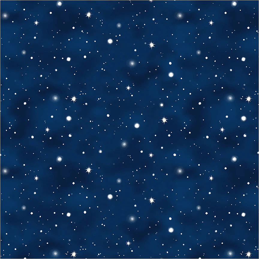 Snowy Wonder